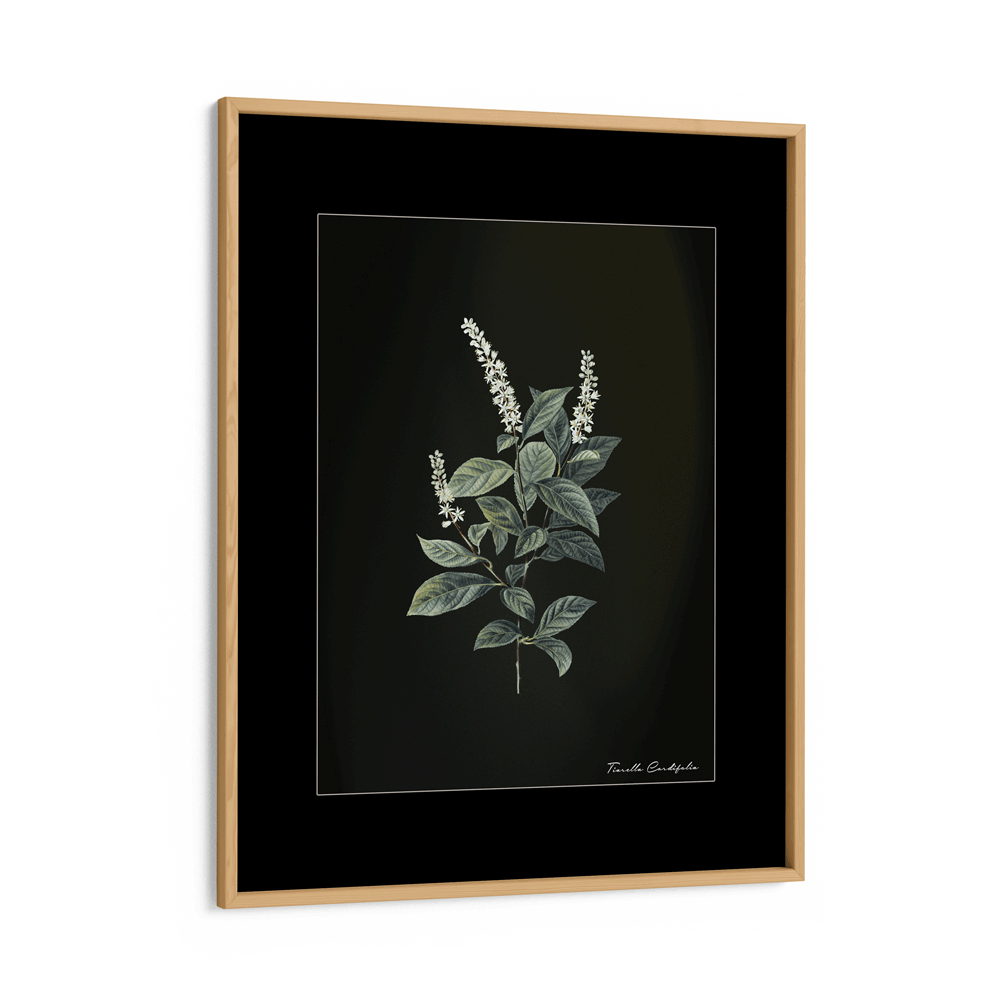 Obsidian Bloom 4 Nook At You Matte Paper Wooden Frame