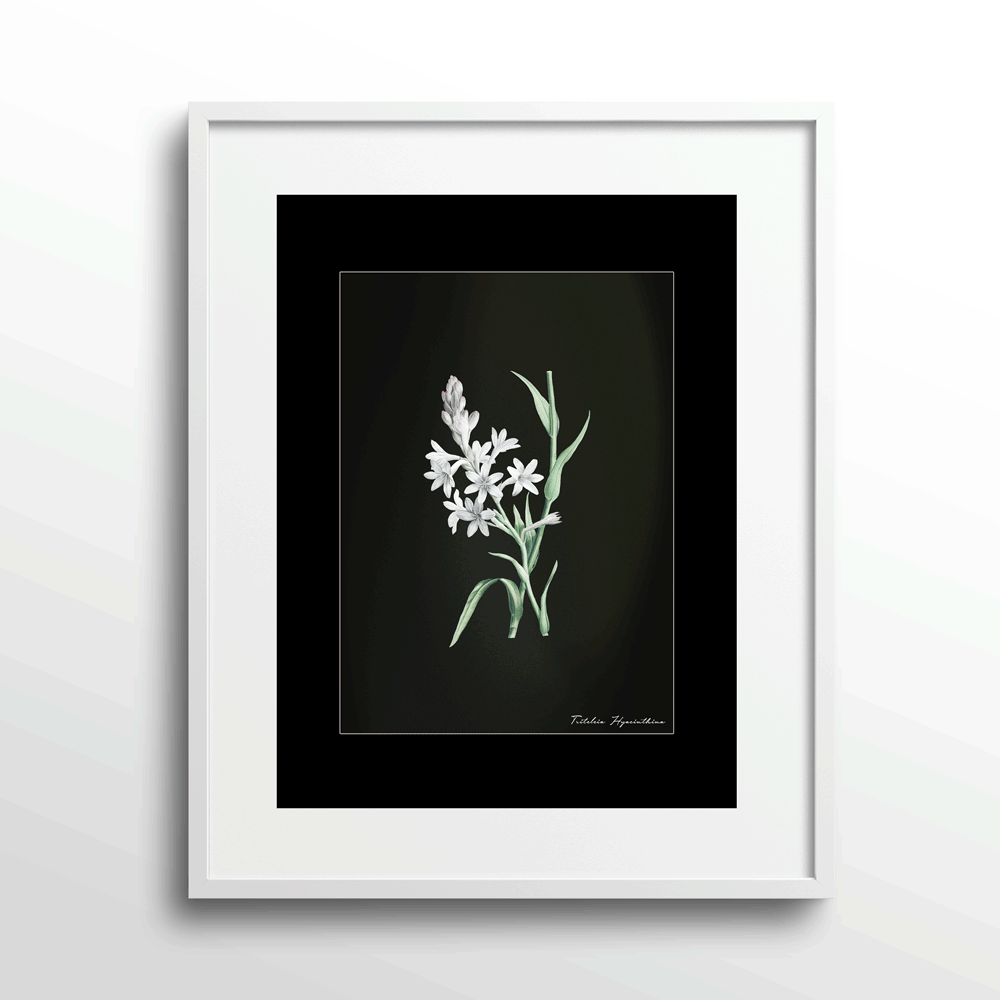 Obsidian Bloom 5 Nook At You Matte Paper White Frame With Mount
