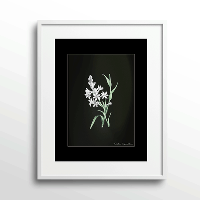 Obsidian Bloom 5 Nook At You Matte Paper White Frame With Mount