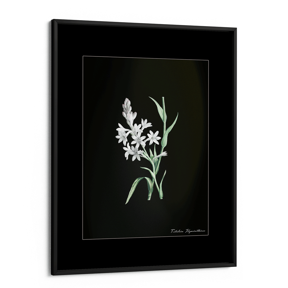Obsidian Bloom 5 Nook At You Matte Paper Black Frame
