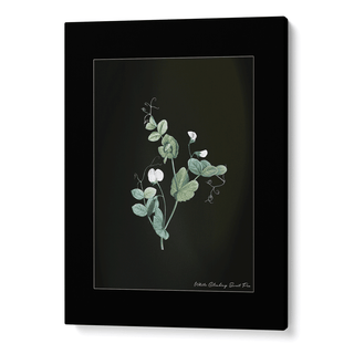 Obsidian Bloom 6