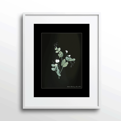 Obsidian Bloom 6 Nook At You Matte Paper White Frame With Mount