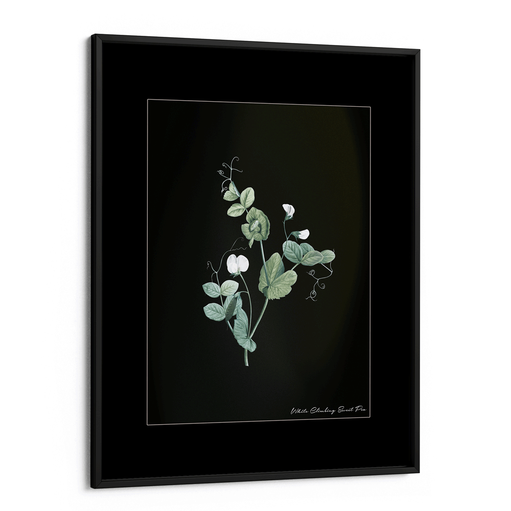 Obsidian Bloom 6 Nook At You Matte Paper Black Frame