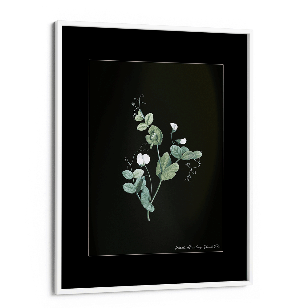 Obsidian Bloom 6 Nook At You Matte Paper White Frame