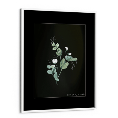 Obsidian Bloom 6 Nook At You Matte Paper White Frame