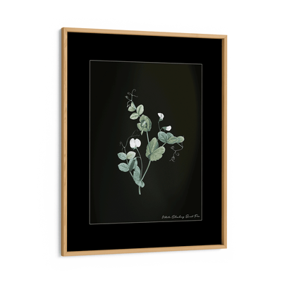 Obsidian Bloom 6 Nook At You Matte Paper Wooden Frame