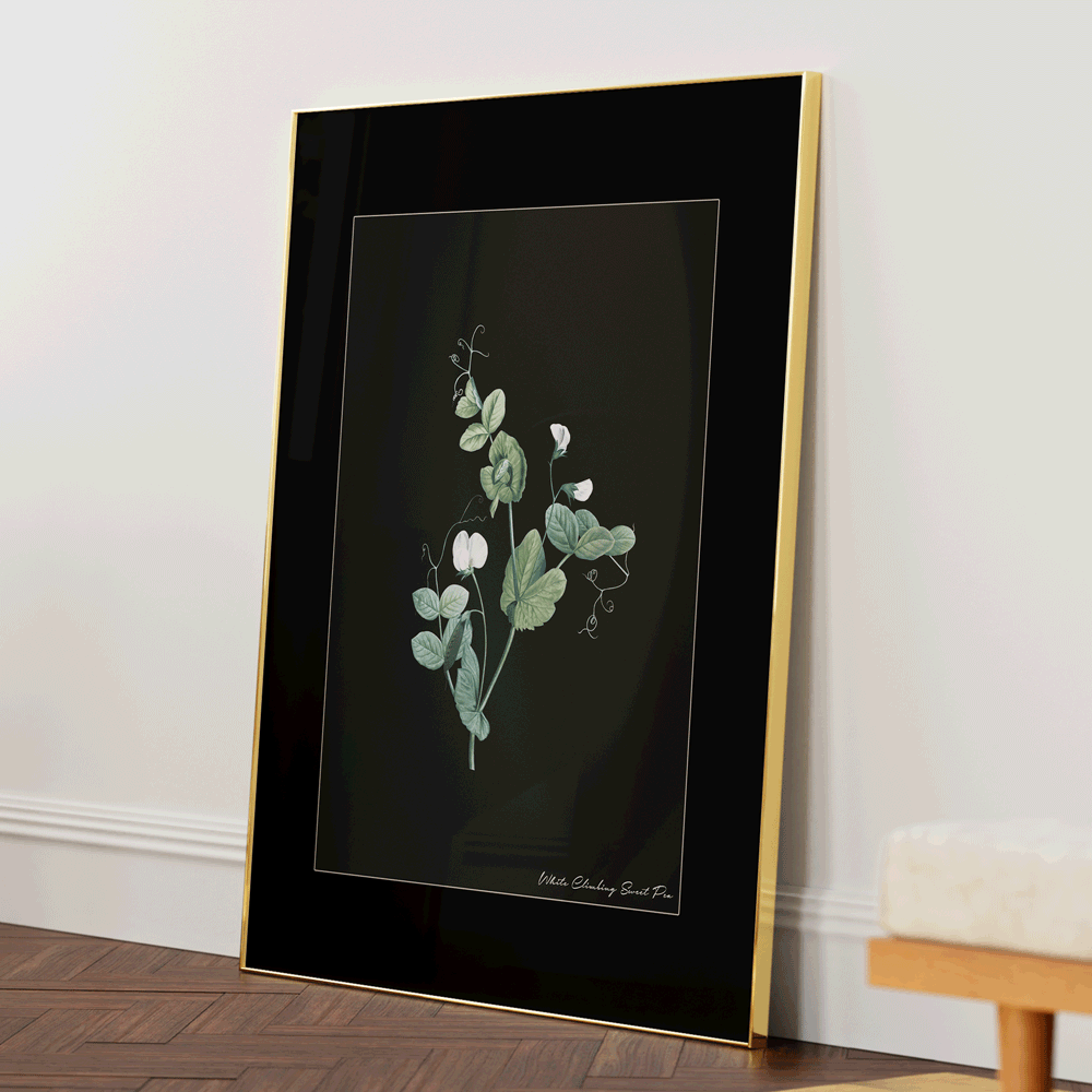 Obsidian Bloom 6 Nook At You Matte Paper Gold Metal Frame