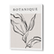 Botanique Exhibition Poster