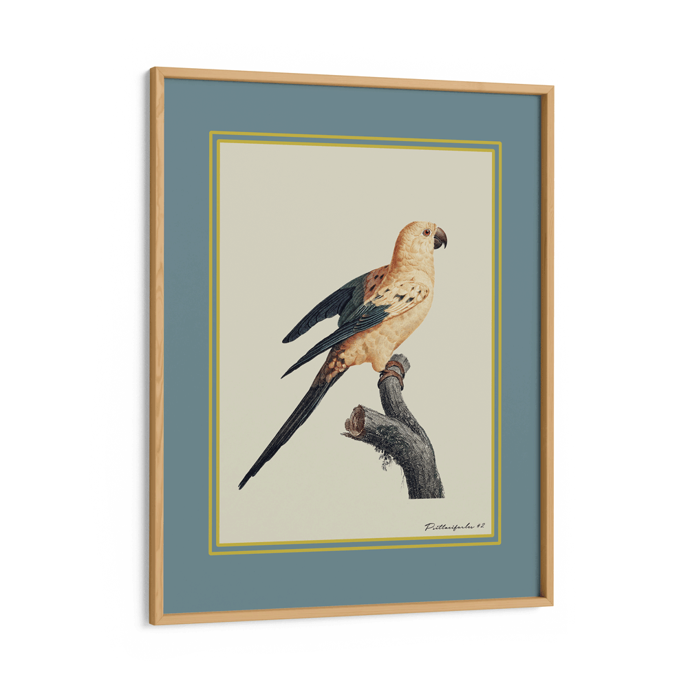 The Golden Parrot II - Teal Nook At You Matte Paper Wooden Frame