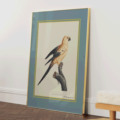 The Golden Parrot II - Teal Nook At You Matte Paper Gold Metal Frame