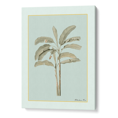 Plantain Tree I - Coast Nook At You Canvas Gallery Wrap