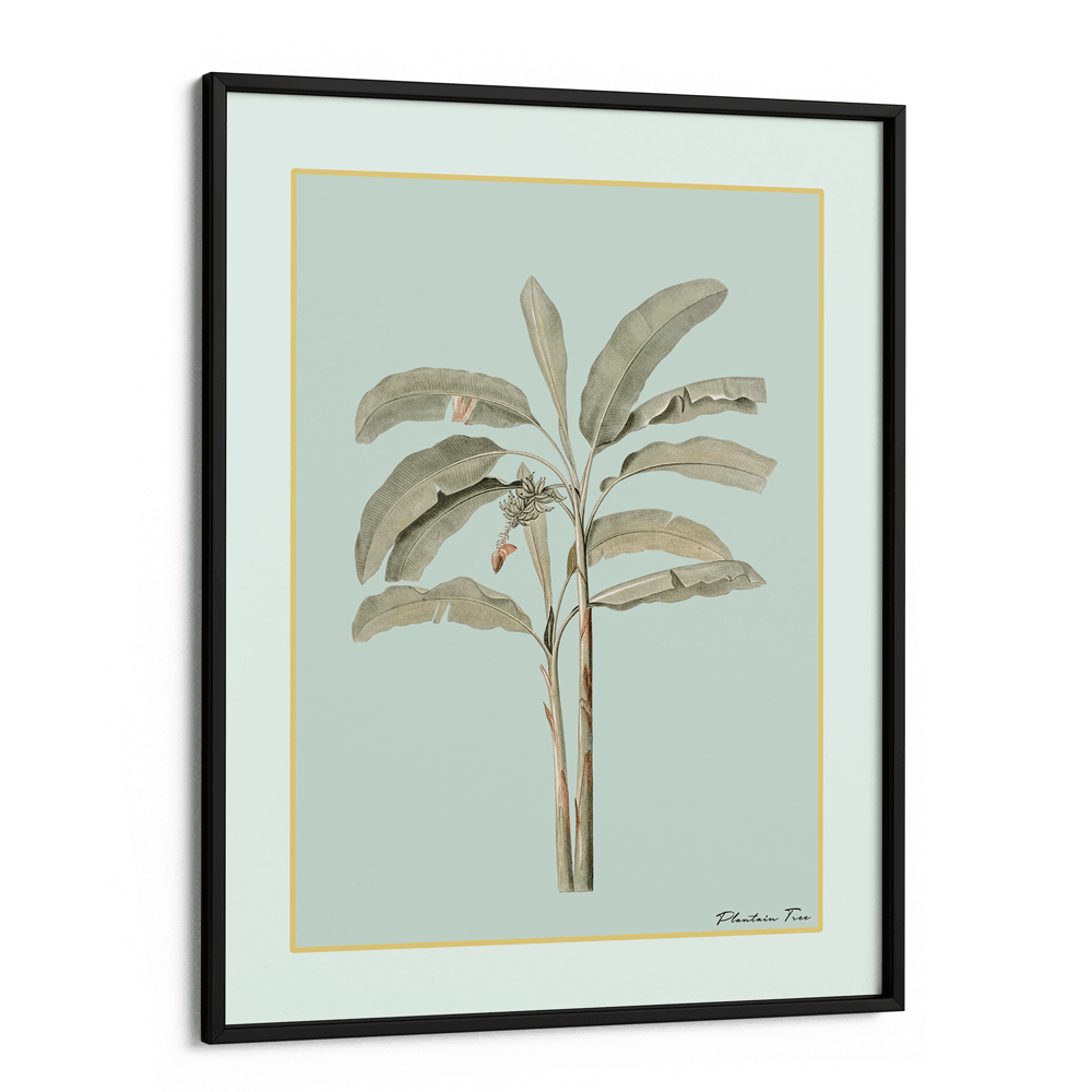 Plantain Tree I - Coast Nook At You Matte Paper Black Frame