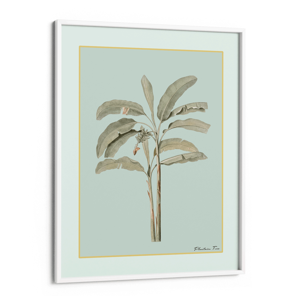 Plantain Tree I - Coast Nook At You Matte Paper White Frame