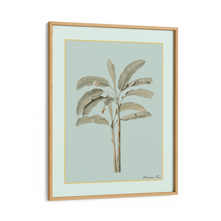 Plantain Tree I - Coast Nook At You Matte Paper Wooden Frame