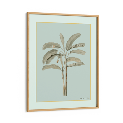 Plantain Tree I - Coast Nook At You Matte Paper Wooden Frame