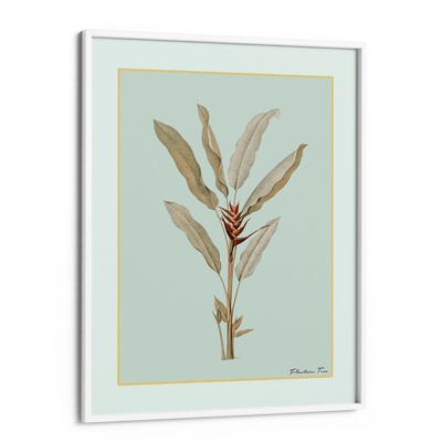 Plantain Tree II - Coast Nook At You Matte Paper White Frame