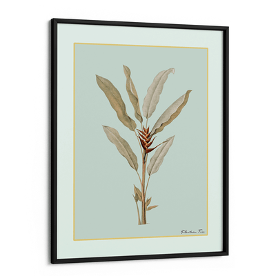 Plantain Tree II - Coast Nook At You Matte Paper Black Frame