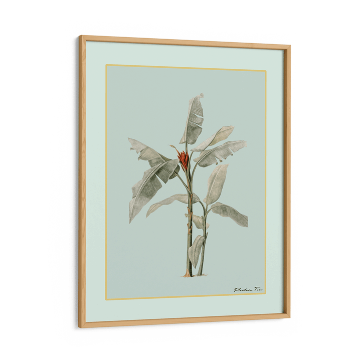 Plantain Tree III - Coast Nook At You Matte Paper Wooden Frame