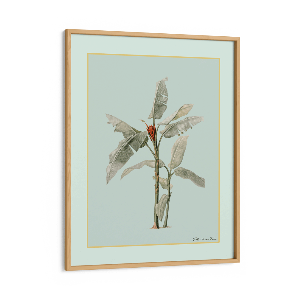 Plantain Tree III - Coast Nook At You Matte Paper Wooden Frame