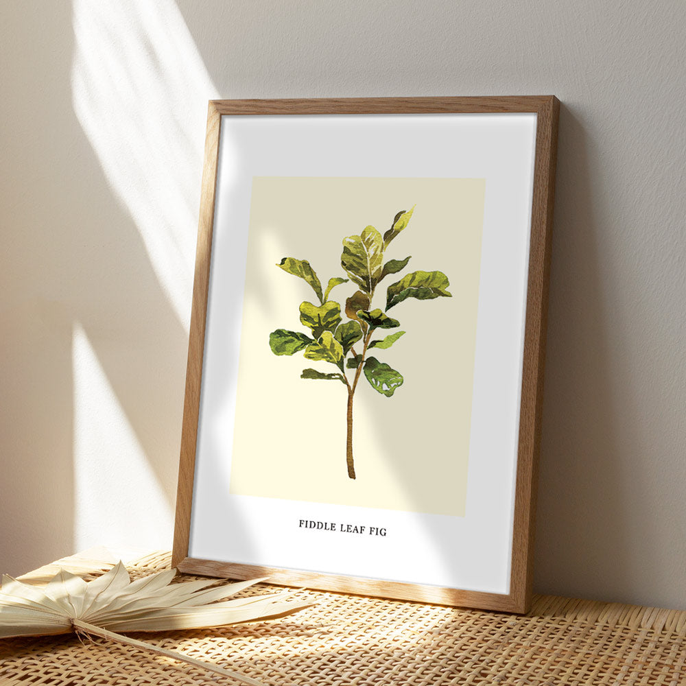 Fiddle Leaf Fig Nook At You Matte Paper Rolled Art