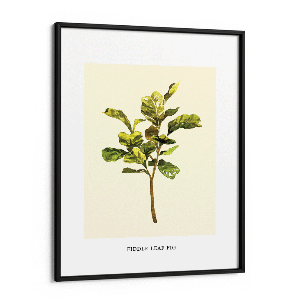 Fiddle Leaf Fig Nook At You Matte Paper Black Frame