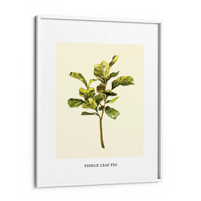 Fiddle Leaf Fig Nook At You Matte Paper White Frame