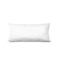 Cushion Filler 20x10 Inches