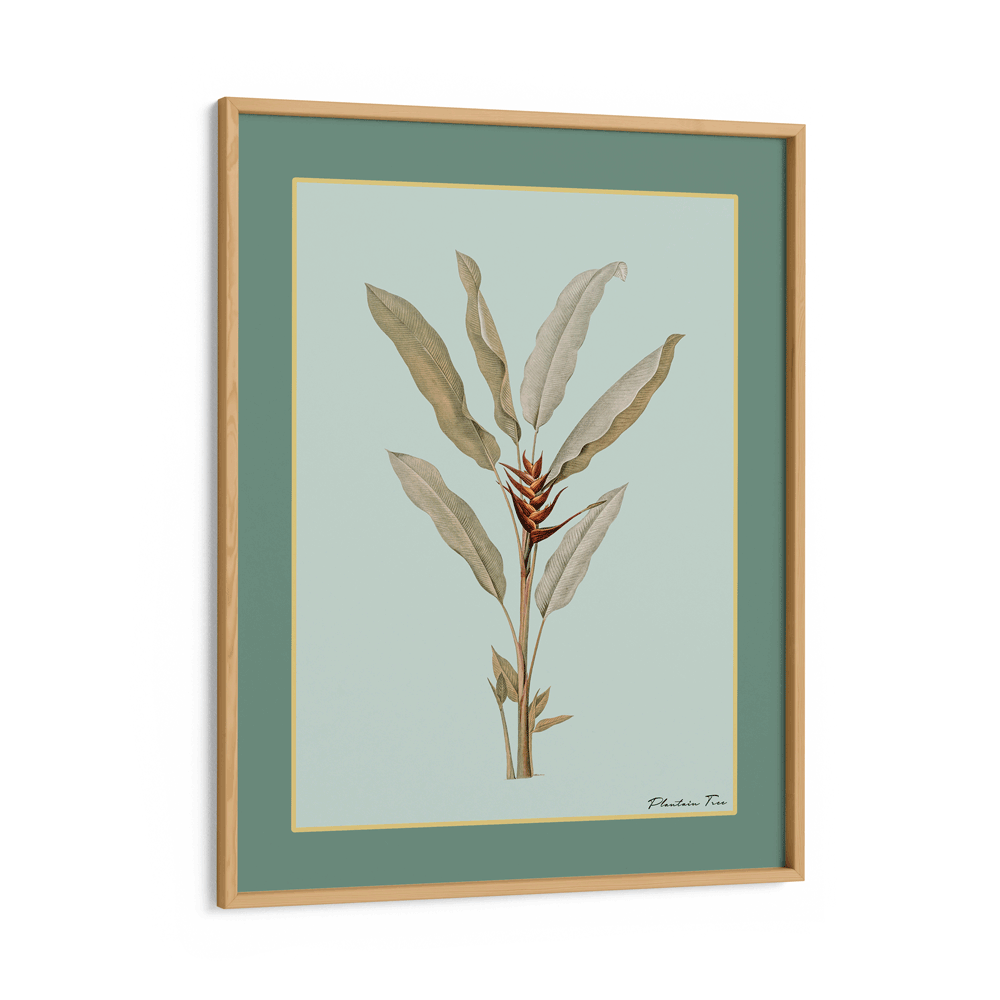 Plantain Tree II - Sage Nook At You Matte Paper Wooden Frame