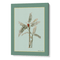 Plantain Tree III - Sage