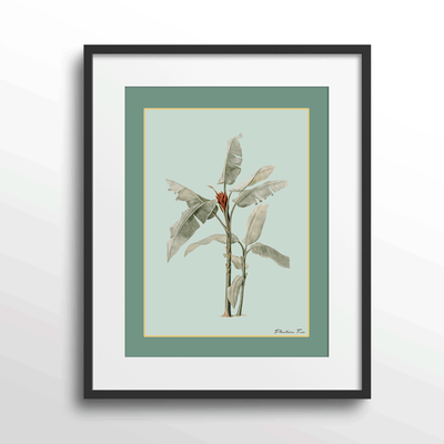 Plantain Tree III - Sage Nook At You Matte Paper Black Frame With Mount