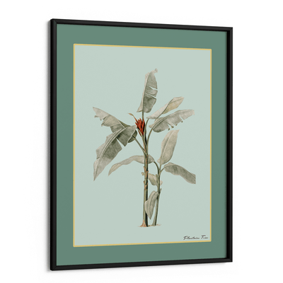 Plantain Tree III - Sage Nook At You Matte Paper Black Frame