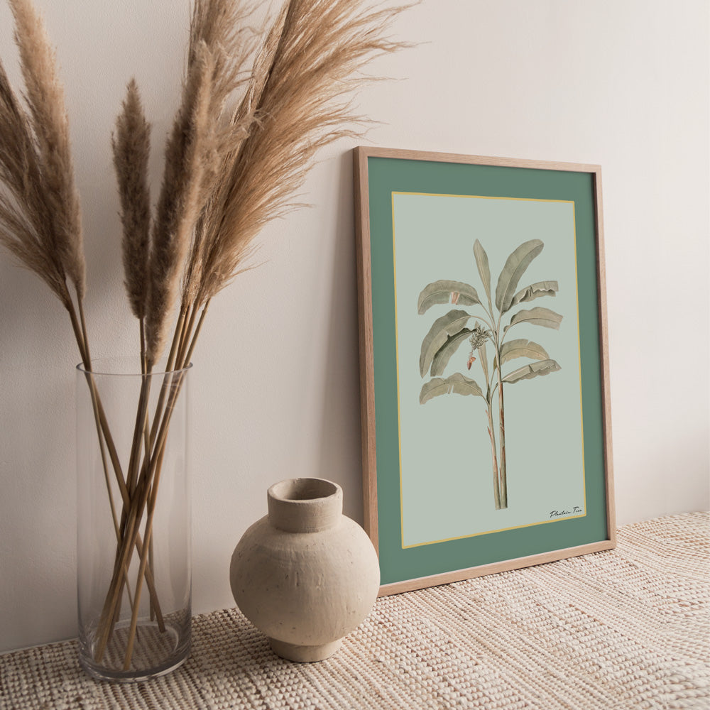 Plantain Tree I - Sage Nook At You Matte Paper Rolled Art
