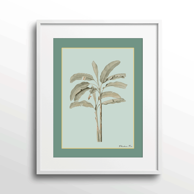 Plantain Tree I - Sage Nook At You Matte Paper White Frame With Mount