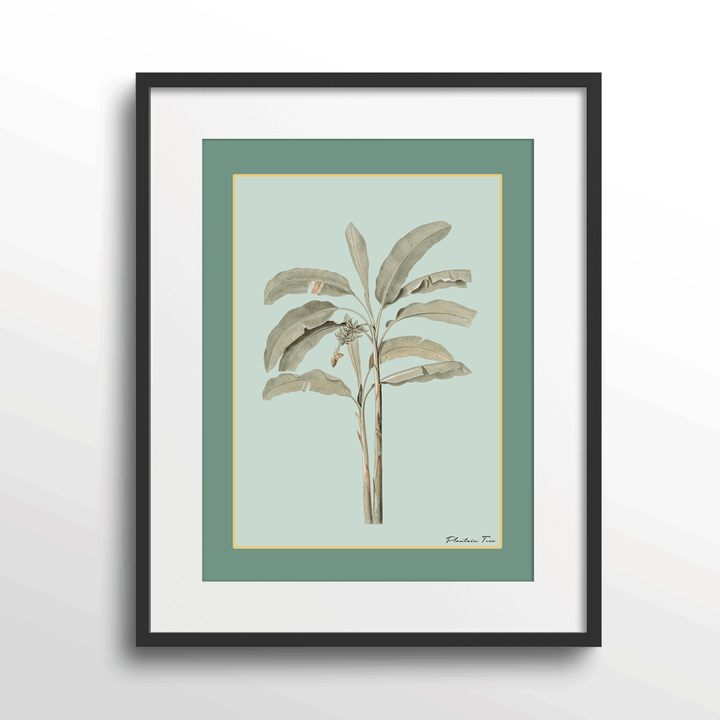 Plantain Tree I - Sage Nook At You Matte Paper Black Frame With Mount