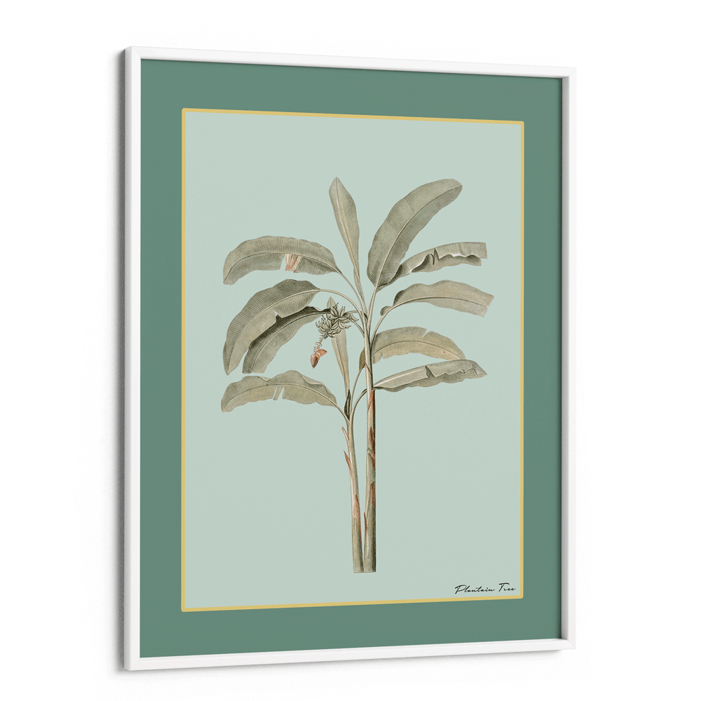 Plantain Tree I - Sage Nook At You Matte Paper White Frame