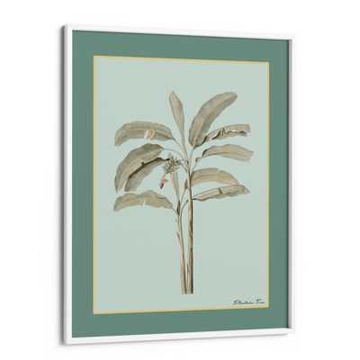 Plantain Tree I - Sage Nook At You Matte Paper White Frame