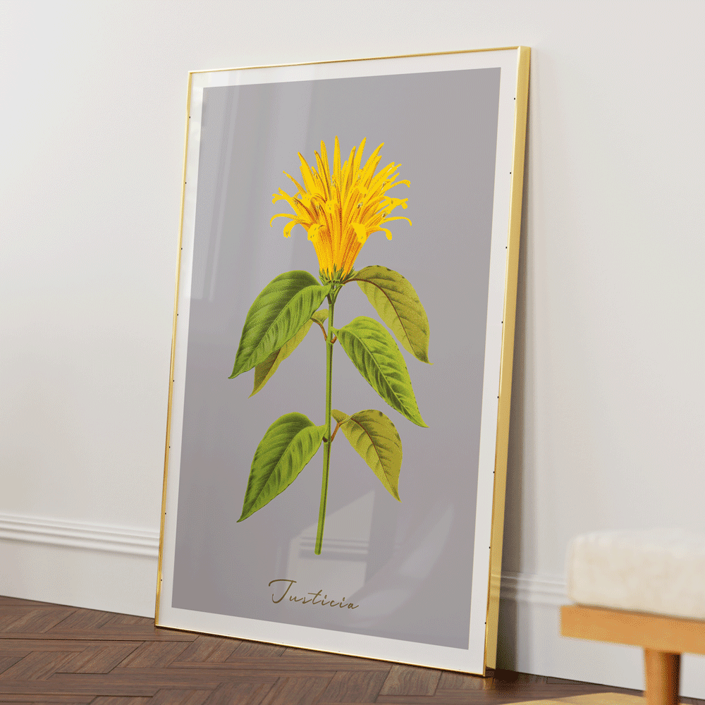 Justicia Nook At You Matte Paper Gold Metal Frame