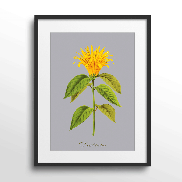 Justicia Nook At You Matte Paper Black Frame With Mount