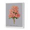 Rhododendron - Peach