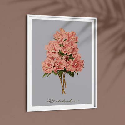 Rhododendron - Peach Nook At You  