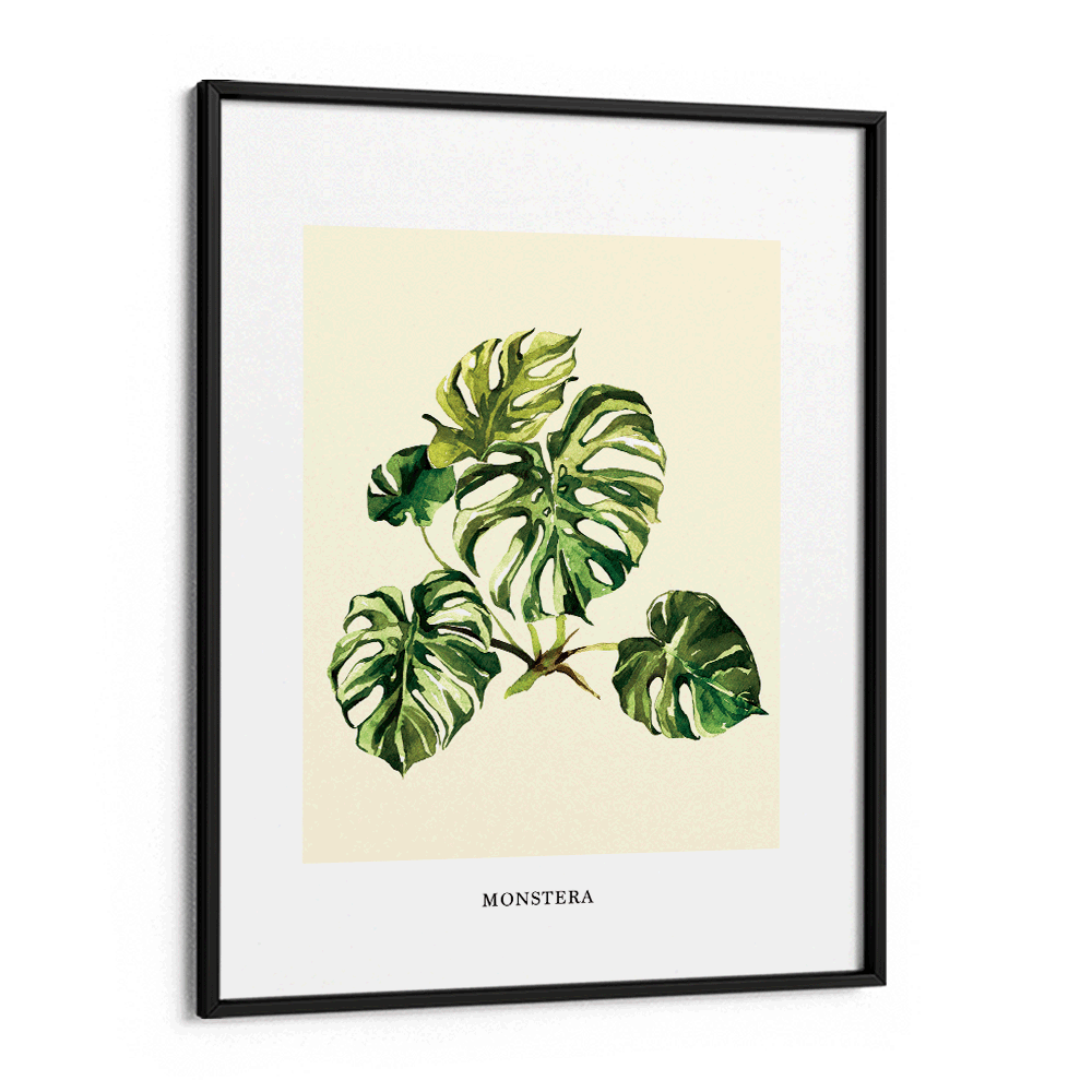 Monstera Nook At You Matte Paper Black Frame