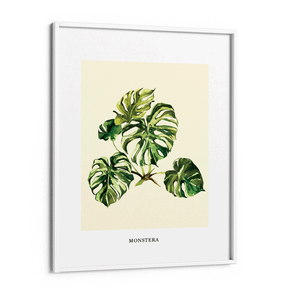 Monstera Nook At You Matte Paper White Frame