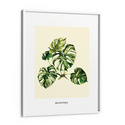 Monstera Nook At You Matte Paper White Frame