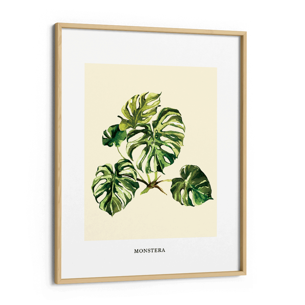 Monstera Nook At You Matte Paper Wooden Frame