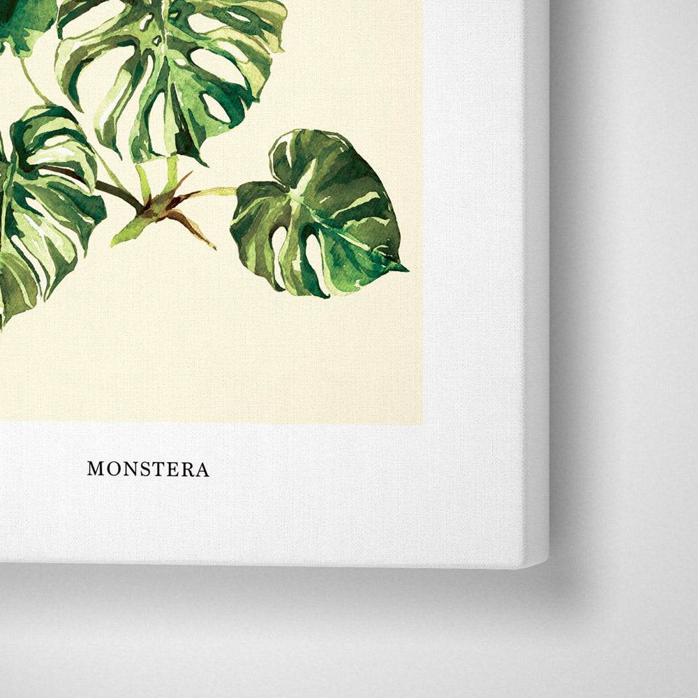 Monstera Nook At You Canvas Gallery Wrap