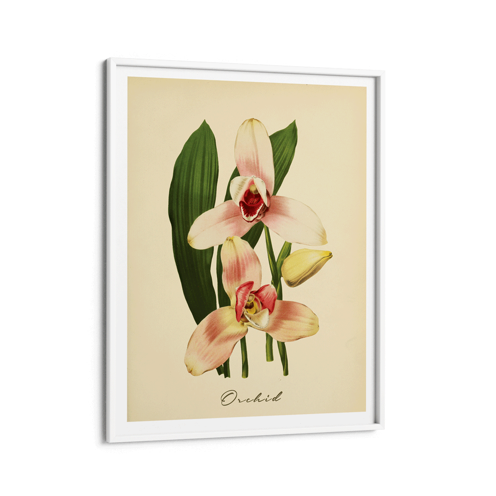 Orchids Nook At You Matte Paper White Frame