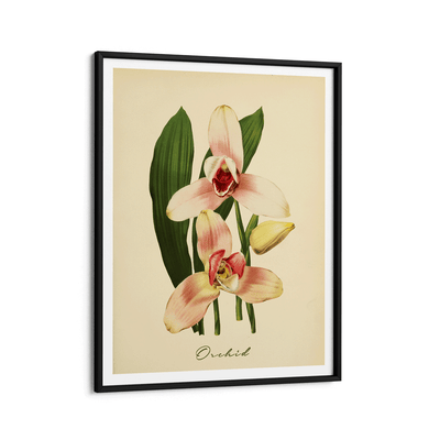 Orchids Nook At You Matte Paper Black Frame
