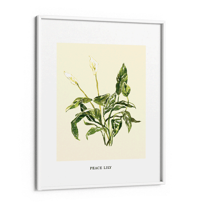 Peace Lilly Nook At You Matte Paper White Frame