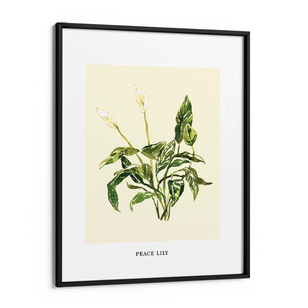 Peace Lilly Nook At You Matte Paper Black Frame