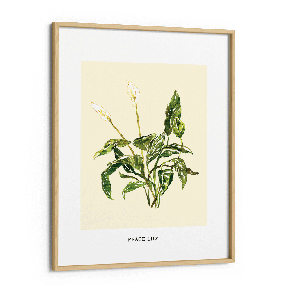 Peace Lilly Nook At You Matte Paper Wooden Frame